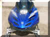 Custom Painted Hood.jpg (211211 bytes)