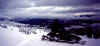 topofworld.jpg (54419 bytes)