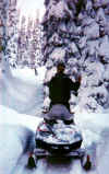 bobsled.jpg (66788 bytes)